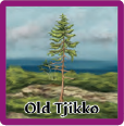 Nordics-highlight-OldTjikko.png