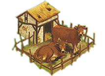 Feature Cows C3.png