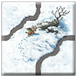 Winter Edition C3 Tile Z09.png