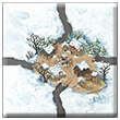 Winter Edition C3 Tile X.png