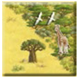 Safari Tile 28.jpg