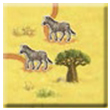 Safari Tile 10.jpg