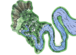 Feature River Spring C1.png