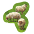 Feature Sheep C2.png