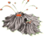 Feature Volcano C1.png