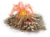 Feature Volcano C2.png