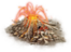 Feature Volcano C2.png