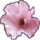 Symbol Sakura.png